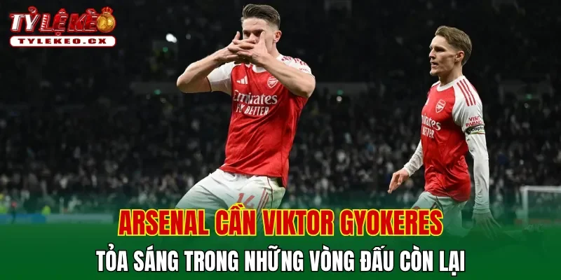 Viktor Gyokeres: Chân sút hàng đầu Arsenal mùa giải 25-26 3 Arsenal cần Viktor Gyokeres tỏa sáng trong những vòng đấu còn lại