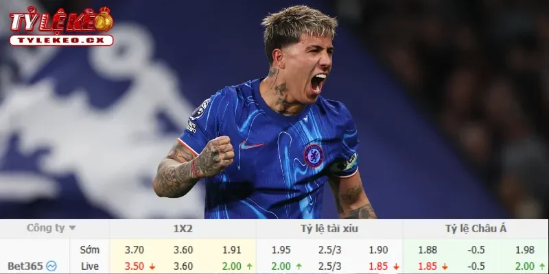 Chi tiết kèo Sunderland vs Chelsea