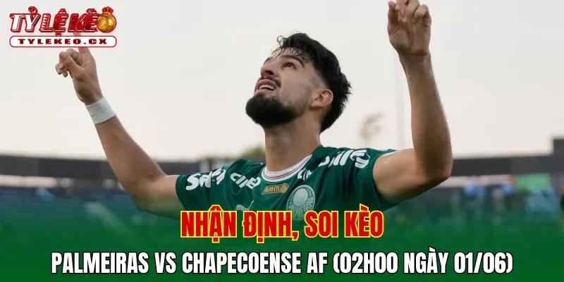 Soi Kèo Palmeiras vs Chapecoense AF (02h00 ngày 01/06) Serie A Brazil 2 Soi kèo cuộc so tài Palmeiras vs Chapecoense AF