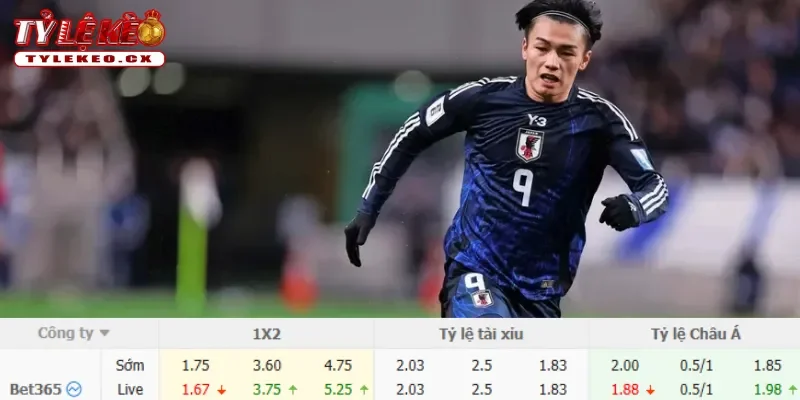 Chi tiết kèo Brazil vs Nhật Bản
