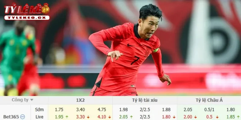 Soi Kèo Mexico vs Hàn Quốc (08h00 ngày 19/06) Bảng A World Cup 3 Chi tiết kèo Mexico vs Hàn Quốc