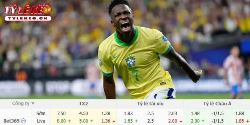 Chi tiết kèo Scotland vs Brazil