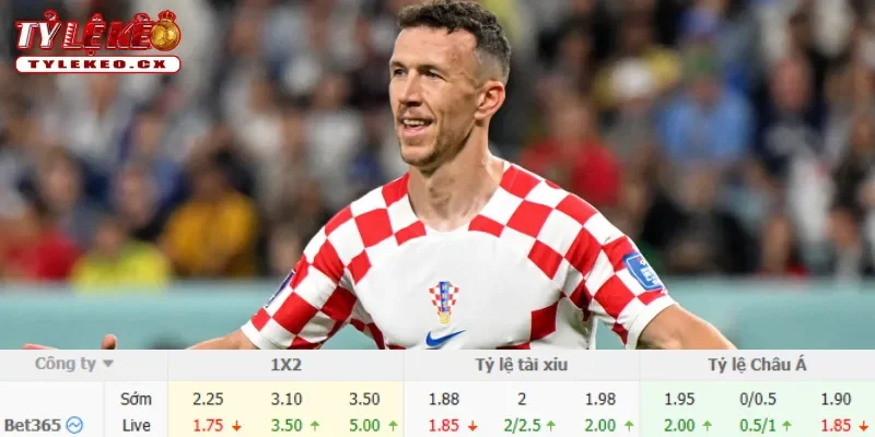 Chi tiết kèo Bồ Đào Nha vs Croatia