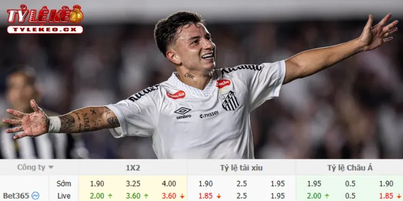 Chi tiết kèo Botafogo vs Santos