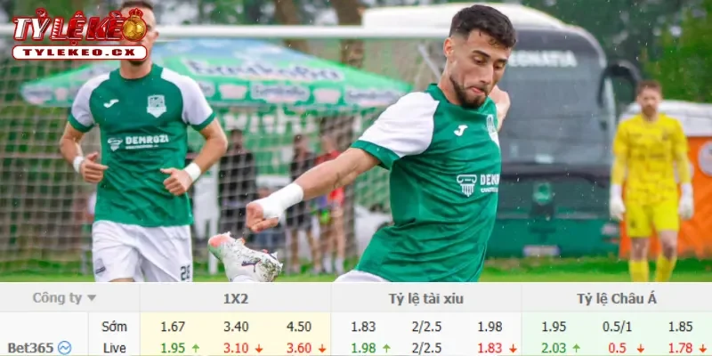 Soi Kèo CS Petrocub vs KF Egnatia (00h00 ngày 09/07) Vòng Loại Champions League 3 Chi tiết kèo CS Petrocub vs KF Egnatia